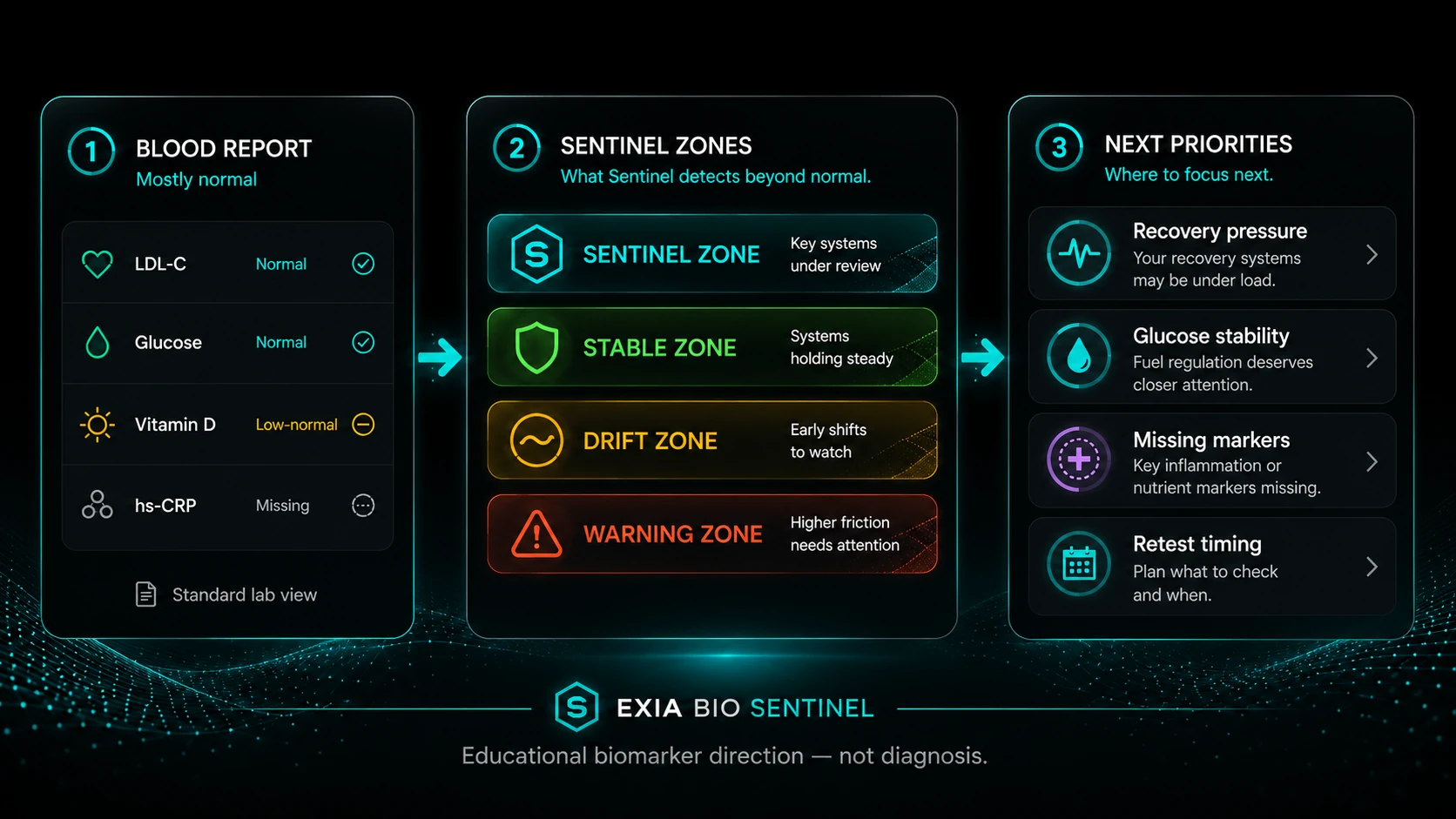 Exia Bio Sentinel transforms a blood report into performance zones and next priorities.